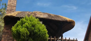 Thatch repairs and fire retardant