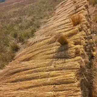 Thatch lapas and grass supply