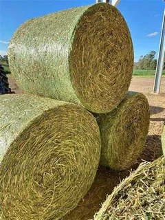 New round lucene bales in kgs for sale
