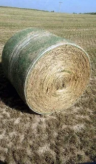 New round lucene bales in kgs for sale