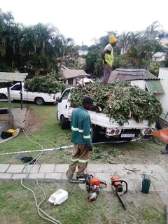 Rubble removal, Junk removal &Garden refuse removal