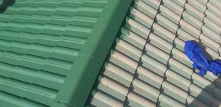 Roof cleaning and painting, welding gates , barglar guard, plumbing