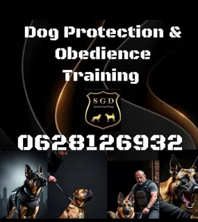 Dog training