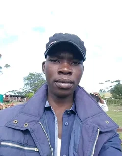 Am looking for a job any job