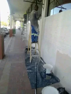 Painting, and waterproofing, more renovations