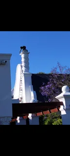 Painting, skimming and ceilings