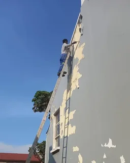 Painting, skimming and ceilings