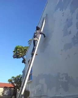 Painting, skimming and ceilings