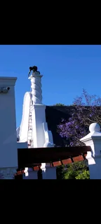 Painting, skimming and ceilings