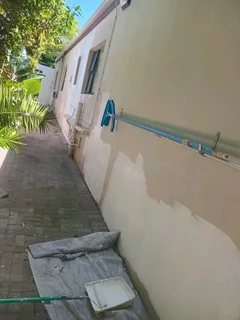 Painting skimming and ceilings