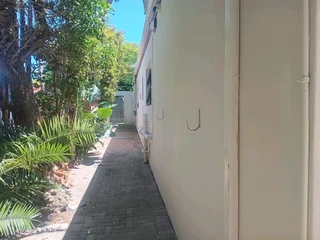 Painting skimming and ceilings