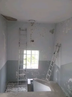 Ceilings, skimming and painting
