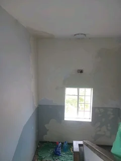Ceilings, skimming and painting