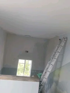 Ceilings, skimming and painting