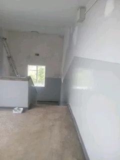Ceilings, skimming and painting
