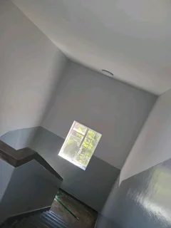 Ceilings, skimming and painting