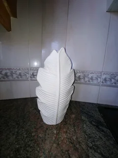 R50 each, 2 Flower Vase available, collect in Umhlanga.