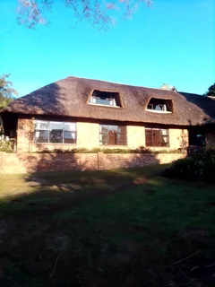 Thatch  roofs repairs and removals