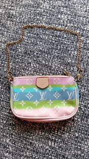 Louis Vuitton purse