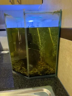 Fish tank
