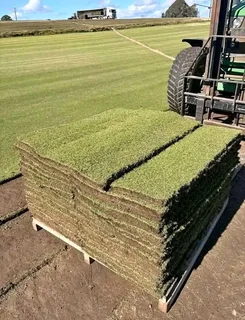  Instant Lawn  Experience the instant transformation of your outdoor space with our lush and vibr