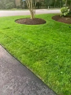  Instant Lawn  Experience the instant transformation of your outdoor space with our lush and vibr