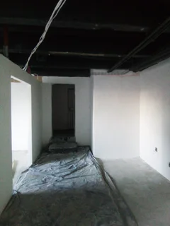 Ceilings  Rhinolite and Painting