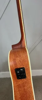 Acoustic Guitar