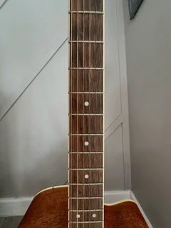 Acoustic Guitar