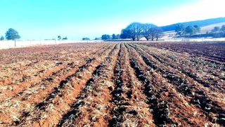 5 hectares of land with accommodation for rent