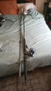 Snackwisher and microwave