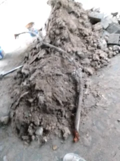 Rubble Removal