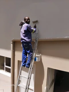 Gardening & painting