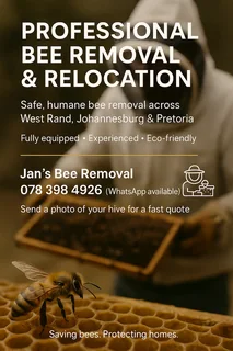 Professional Bee removal