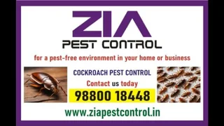 Zia Pest   Control | Quick Pest Removal Service | Professional Pest Experts | 237