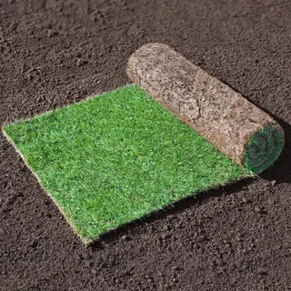 Farm fresh evergreen instant lawn