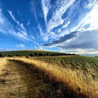 Book and Event Promoter