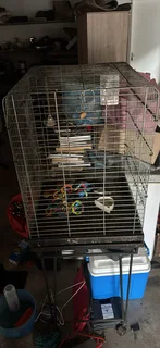bird cage