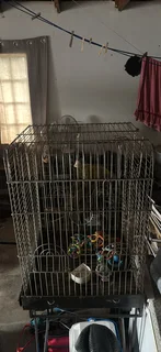 bird cage