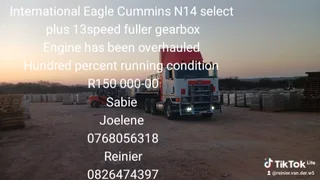 International Eagle N14