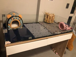 Guinea pig cage with accesoires