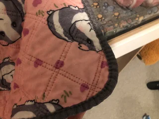 Guinea pig cage with accesoires