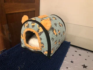 Guinea pig cage with accesoires