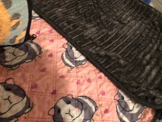 Guinea pig cage with accesoires