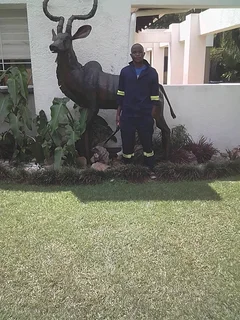 Reliable gardener available