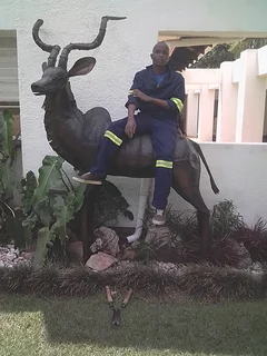 Professional gardener available