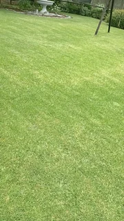 Hello I&#39;m mr Benard gondwe from Malawi, I&#39;m looking for job as a gardener