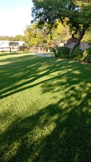 Hello I&#39;m mr Benard gondwe from Malawi, I&#39;m looking for job as a gardener