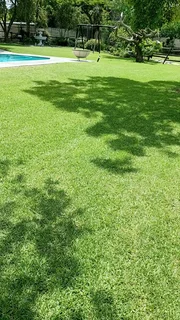 Hello I&#39;m mr Benard gondwe from Malawi, I&#39;m looking for job as a gardener