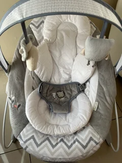 Baby Bouncer